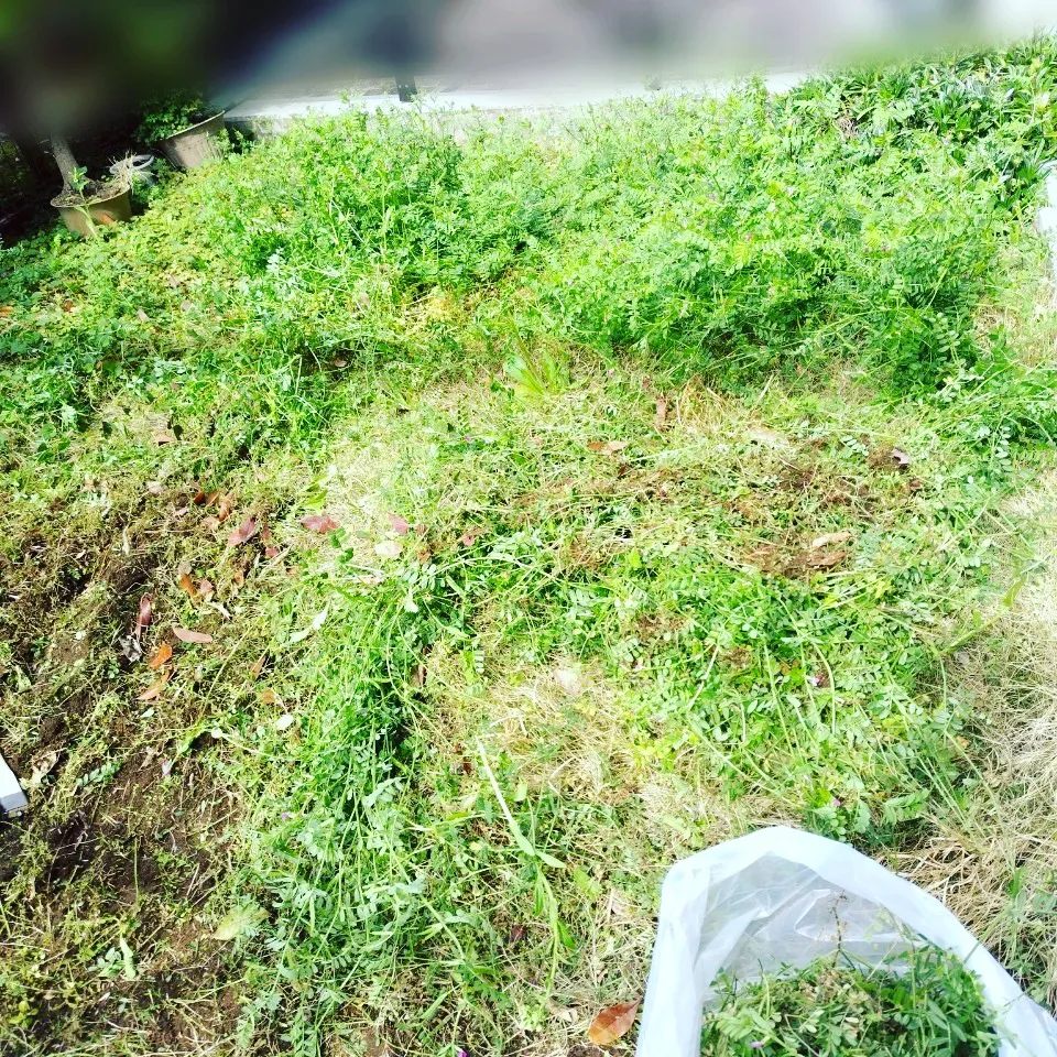 【まごころサポート】🌱🌿