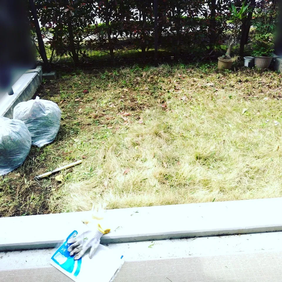 【まごころサポート】🌱🌿